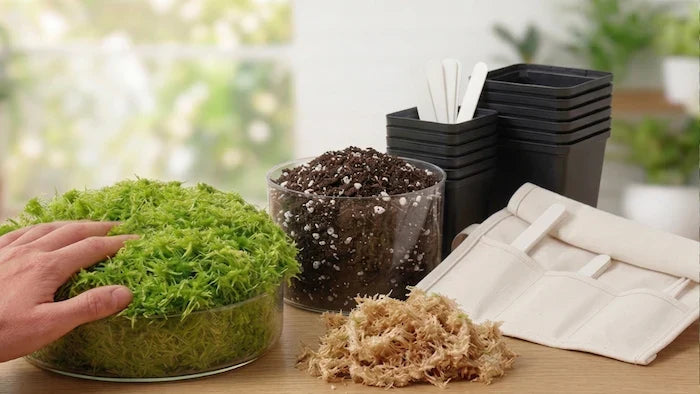 Overzichtfoto van benodigdheden voor planten met potjes, mos en grond