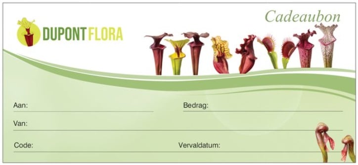 Geschenkgutschein