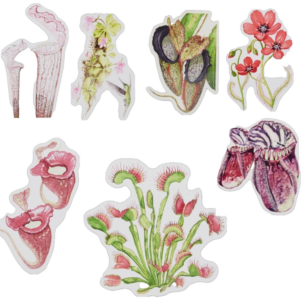 Vinyl stickers vleesetende planten