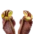 Cephalotus