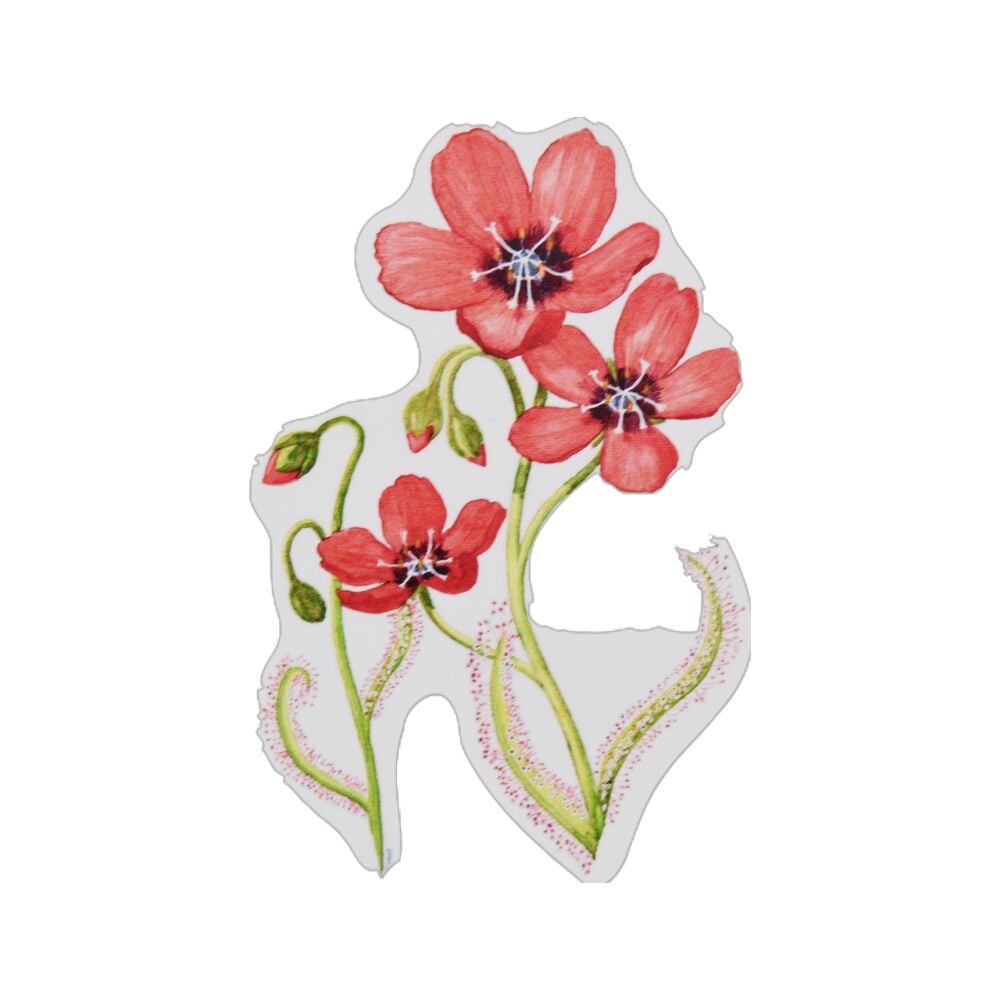 Vinyl stickers vleesetende planten