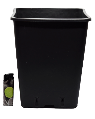 Viereckiger Anzuchttopf 23x18 cm / 6,5l schwarz