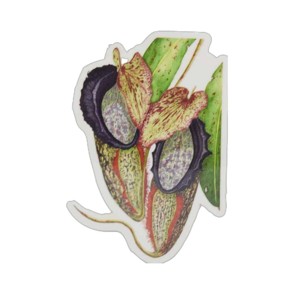 Vinyl stickers vleesetende planten