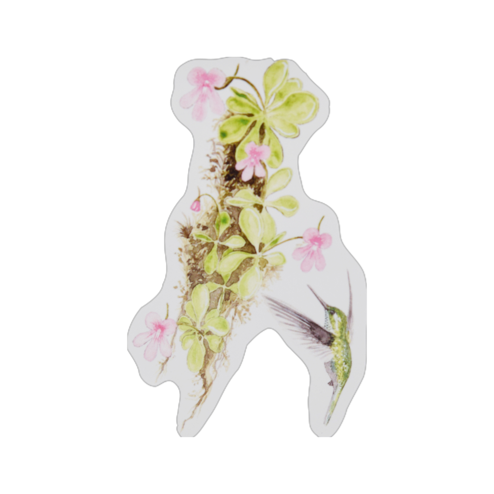 Vinyl stickers vleesetende planten