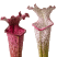 S. leucophylla