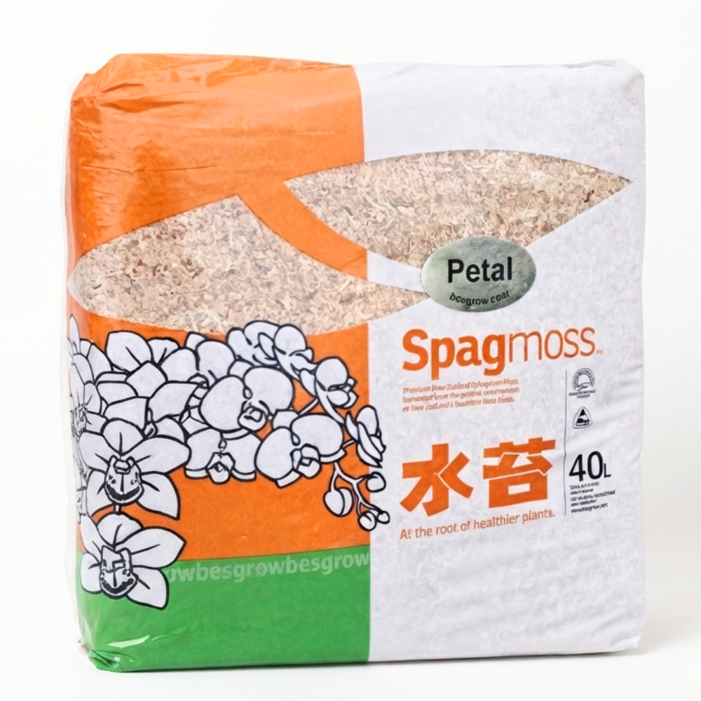 Sphagnum petale Neuseeland (Spagmoss)
