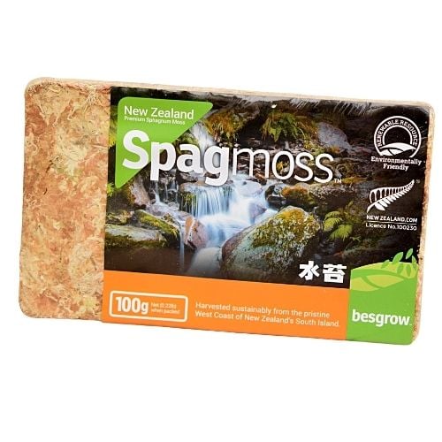 Sphagnum Classic Nieuw-Zeeland (Spagmoss)