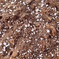 Grondmix vleesetende planten 3l of 12l