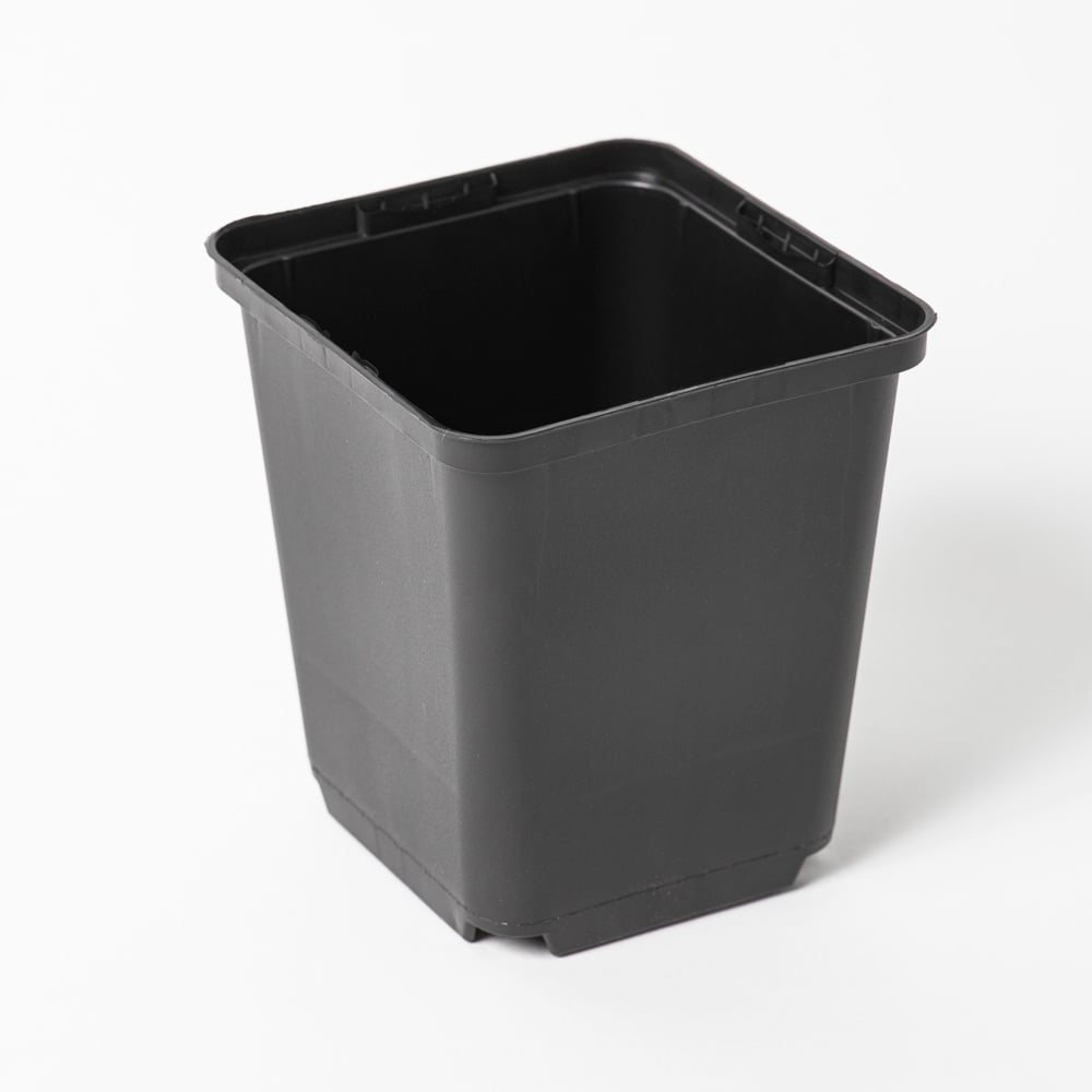 Viereckiger Anzuchttopf 11 cm / 1l schwarz