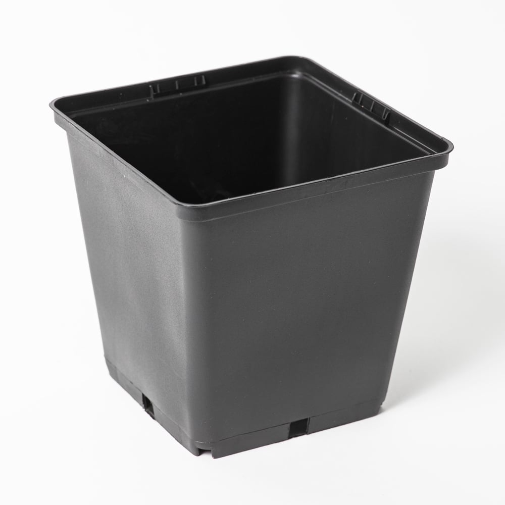 Viereckiger Anzuchttopf 13 cm / 1,5l schwarz