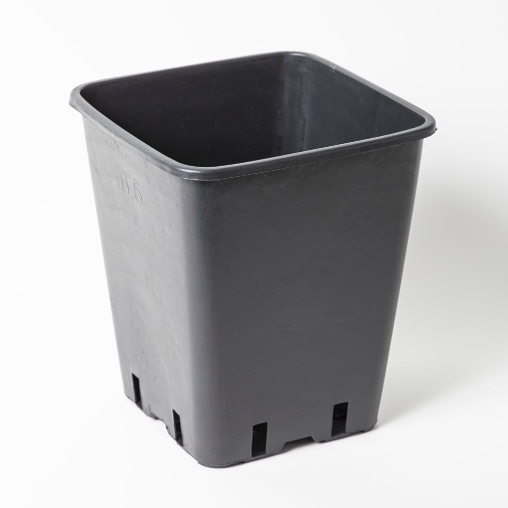 Viereckiger Anzuchttopf 23x18 cm / 6,5l schwarz