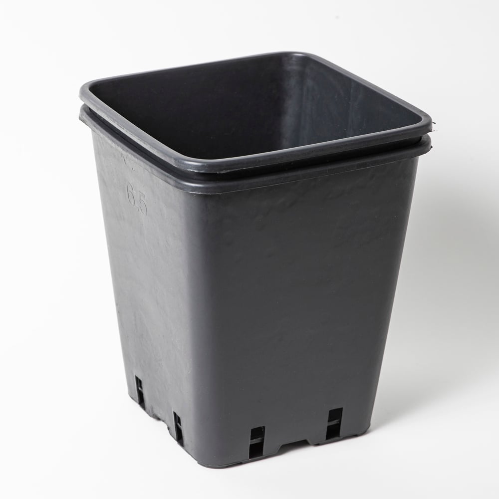 Viereckiger Anzuchttopf 23x18 cm / 6,5l schwarz